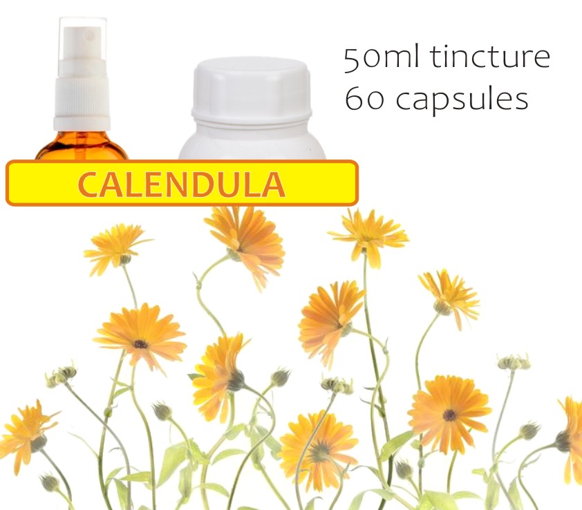 Calendula