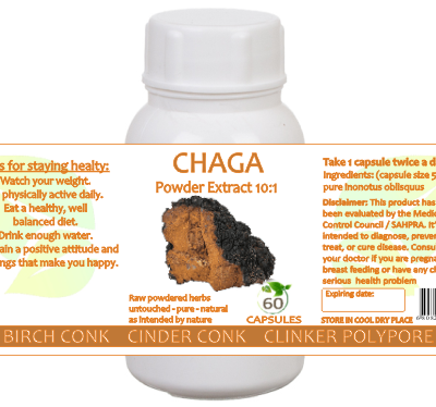 Chaga