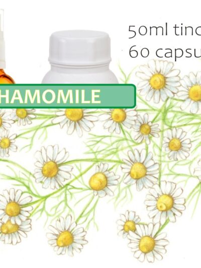 Chamomile
