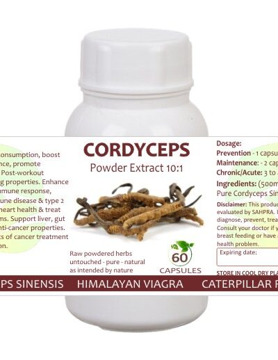 Cordyceps