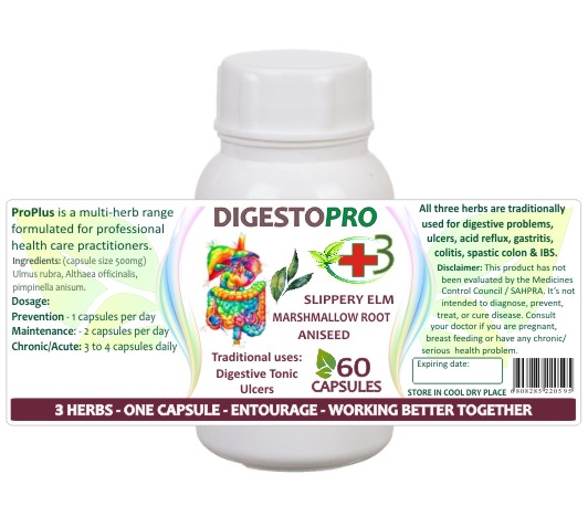 DigestoPro