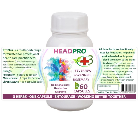 HeadPro