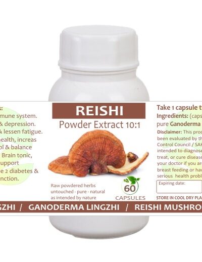 Reishi
