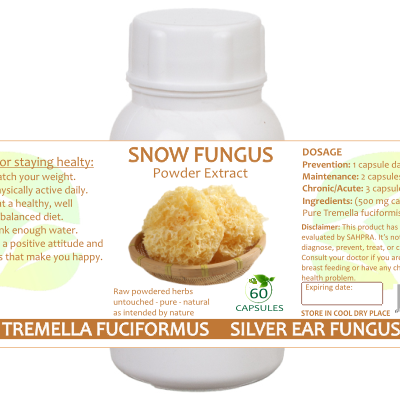 Snow Fungus