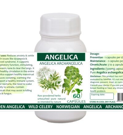 Angelica
