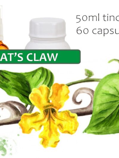 Cat's Claw
