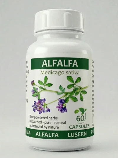 Alfalfa