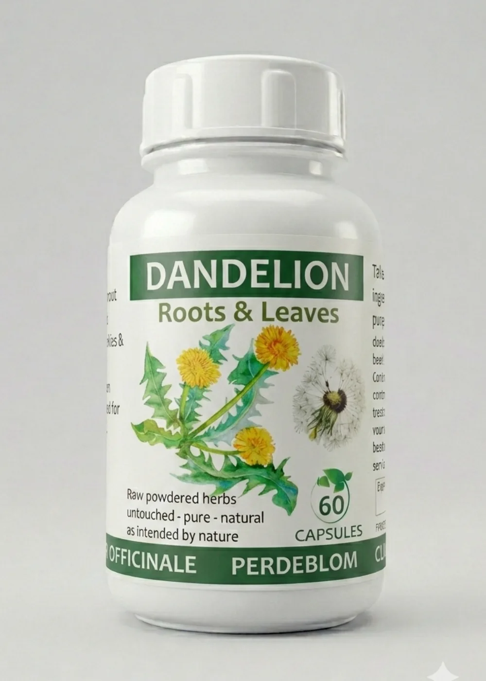 Dandelion