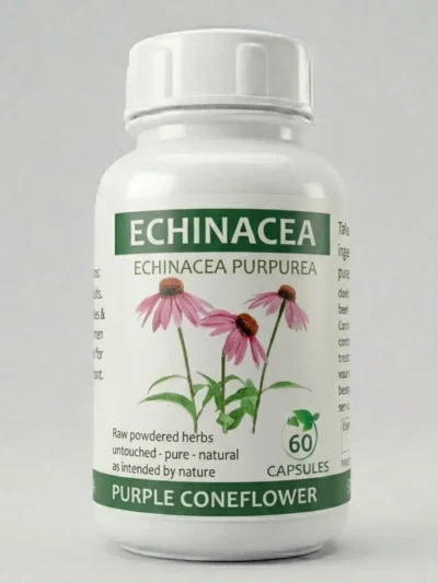 Echinacea