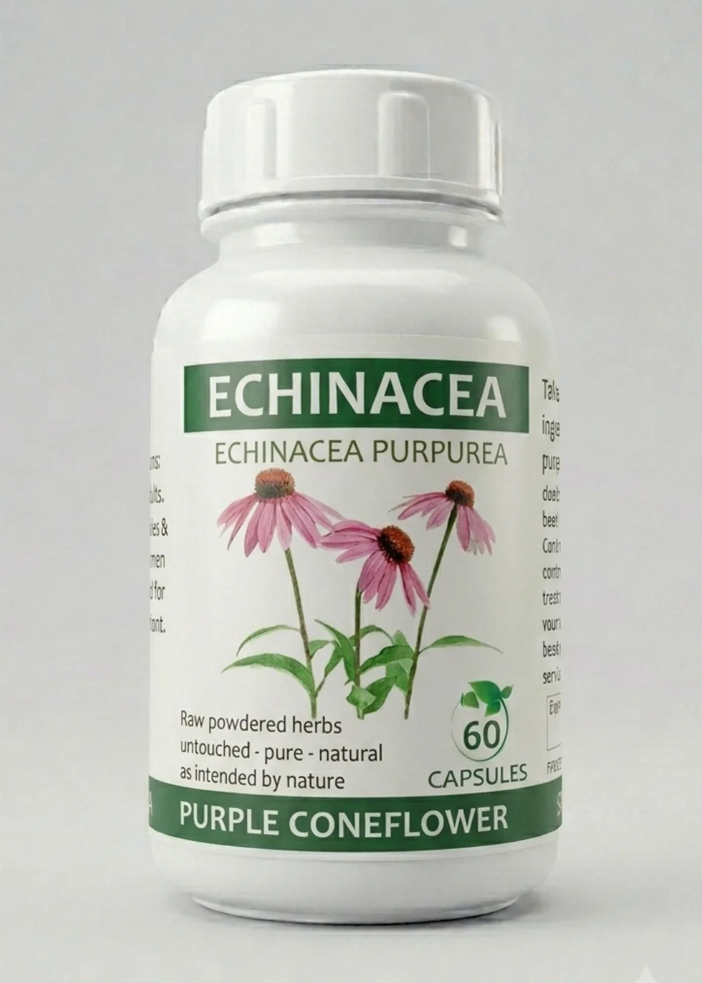 Echinacea