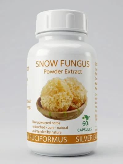 Snow Fungus